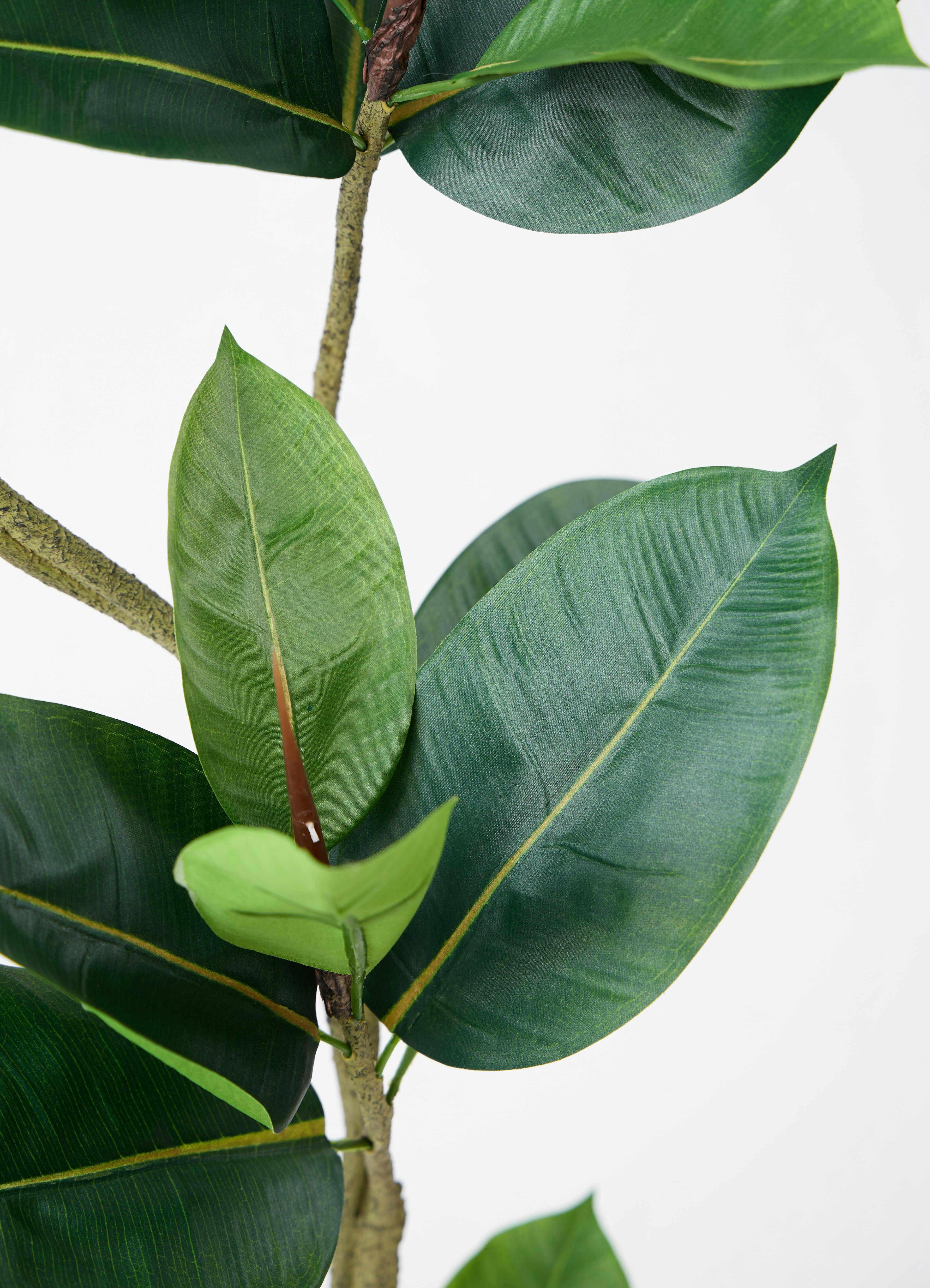 観葉植物【フェイクグリーン】フィカス（ゴムの木） 150cm パボ ミドル