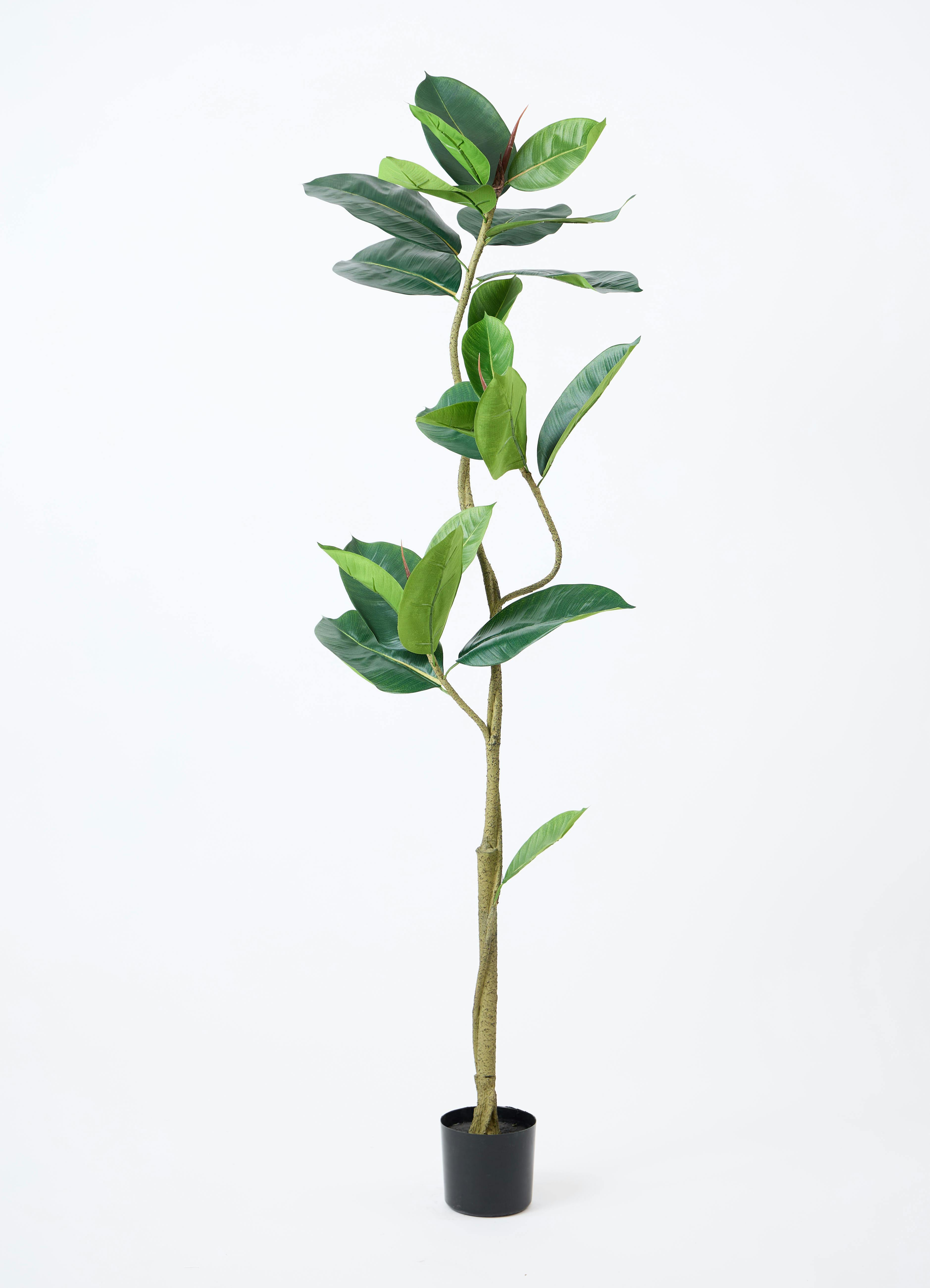 観葉植物【フェイクグリーン】フィカス（ゴムの木） 150cm パボ ミドル