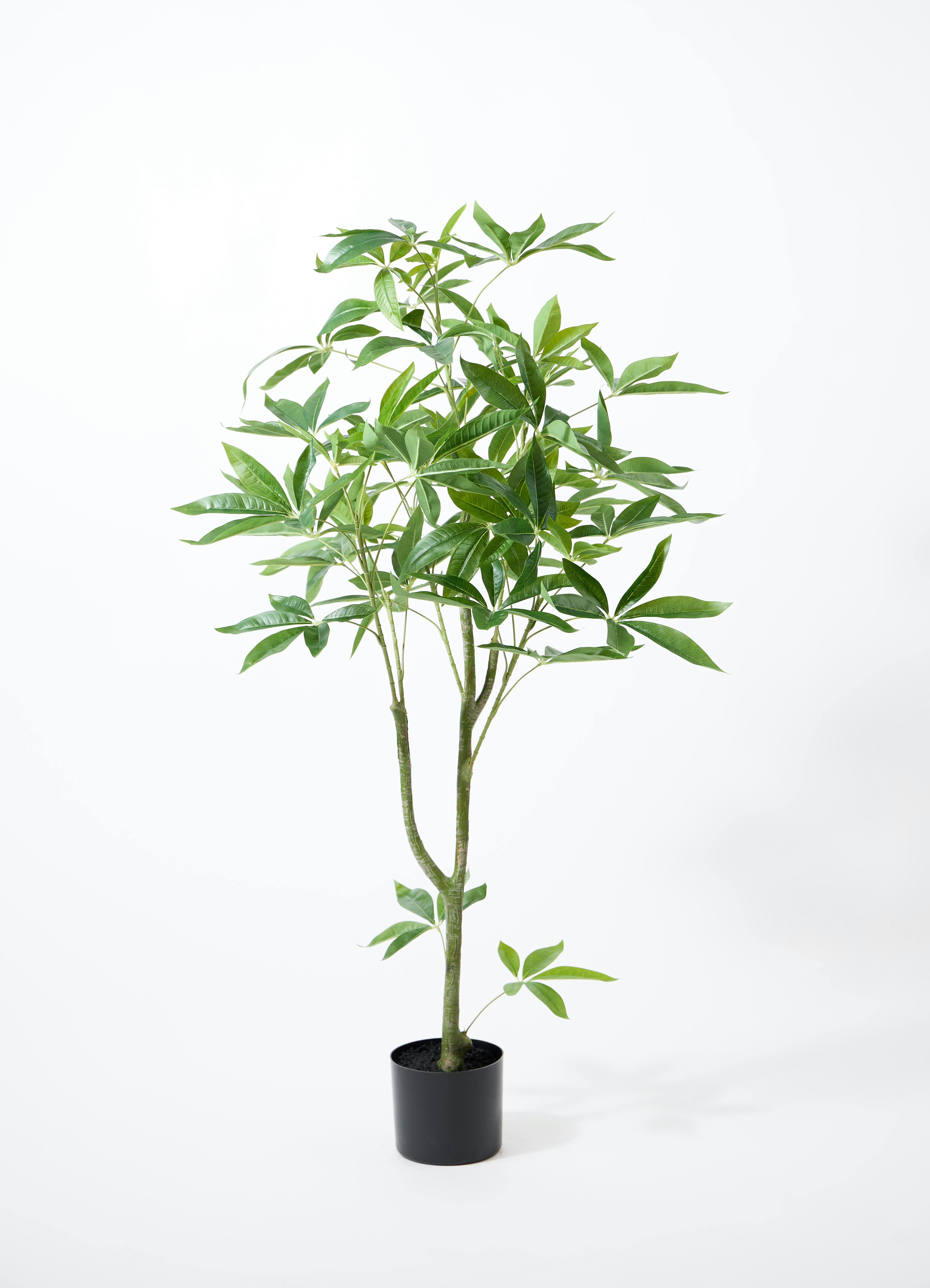 フェイクグリーン 120cm～130cmほど 観葉植物【フェイクグリーン】パキラ 120cm Eco Stone (エコストーン