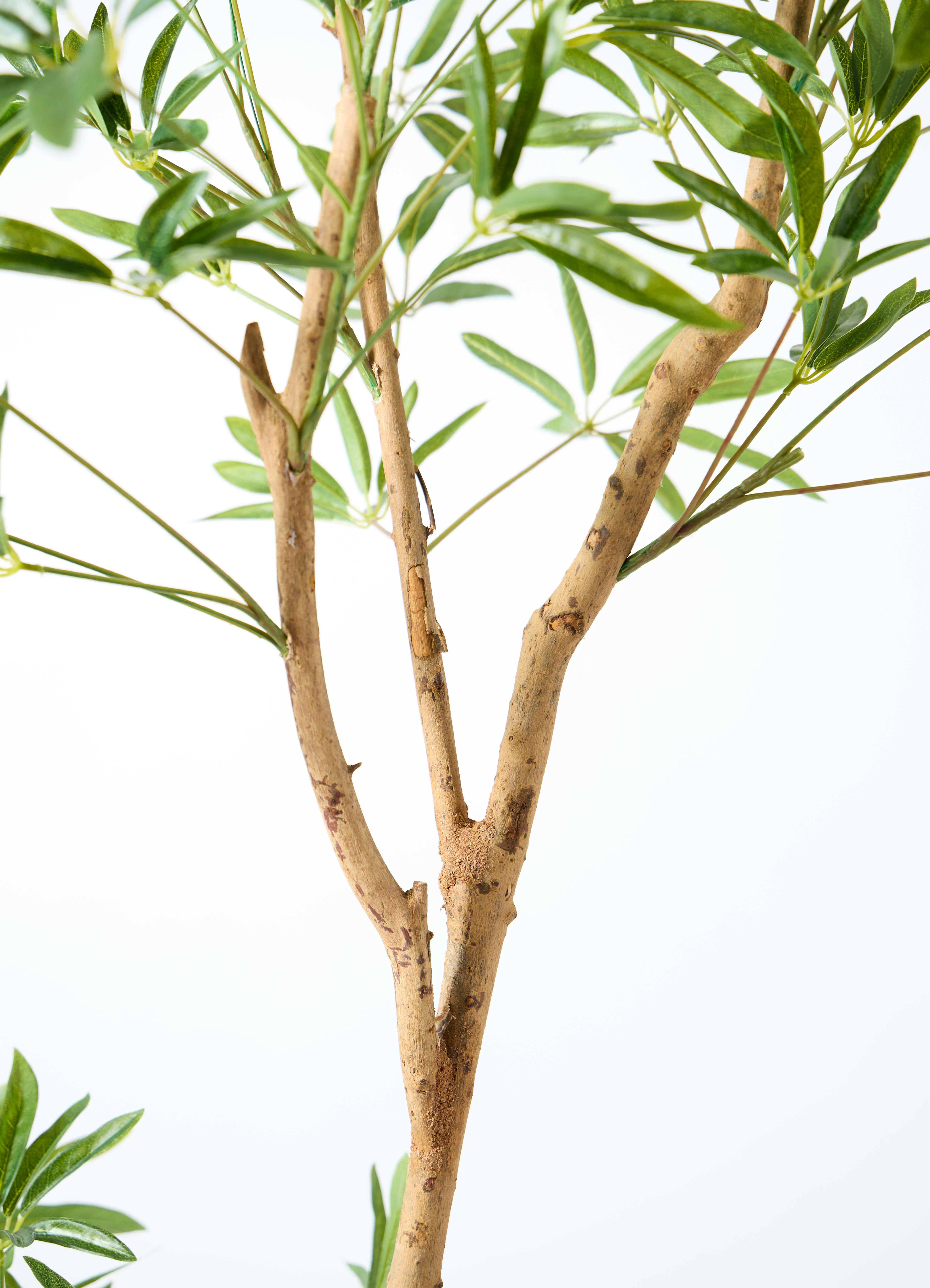 観葉植物 【フェイクグリーン】 シェフレラ 原木 180cm Eco Stone
