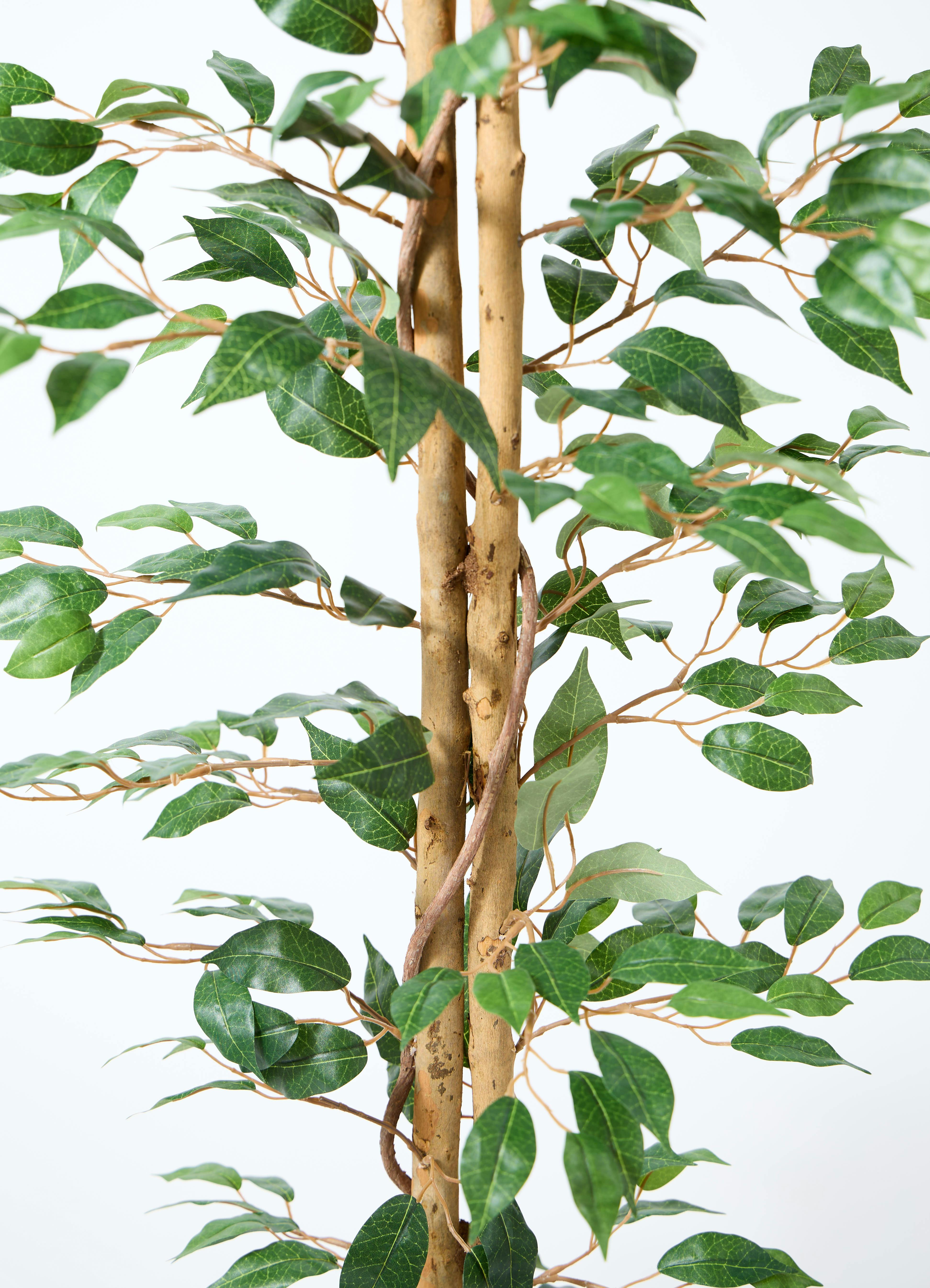 観葉植物 【フェイクグリーン】 ベンジャミン 原木 180cm ベースポット