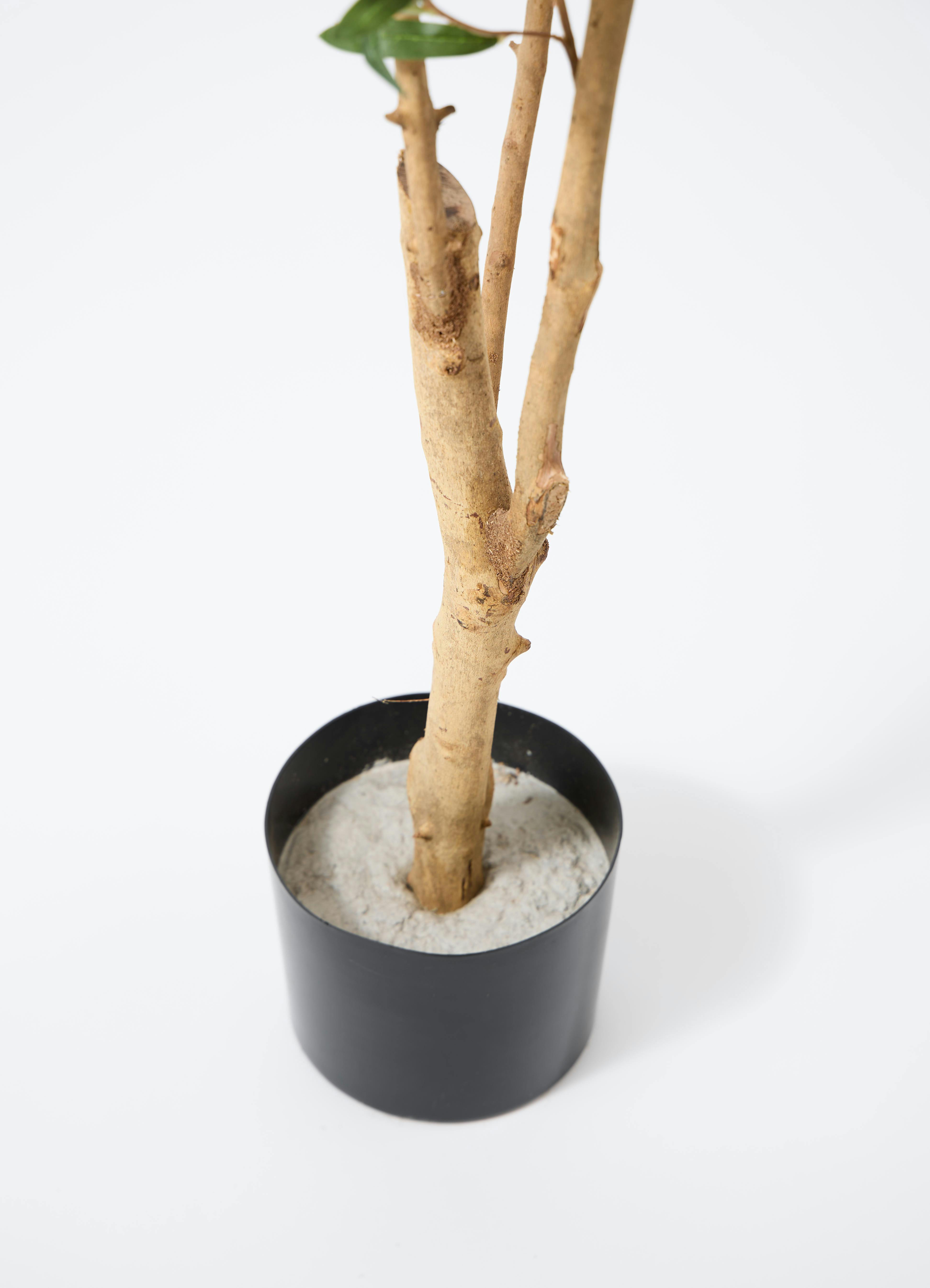 観葉植物 【フェイクグリーン】 オリーブ 実付き 原木 180cm ウッド 