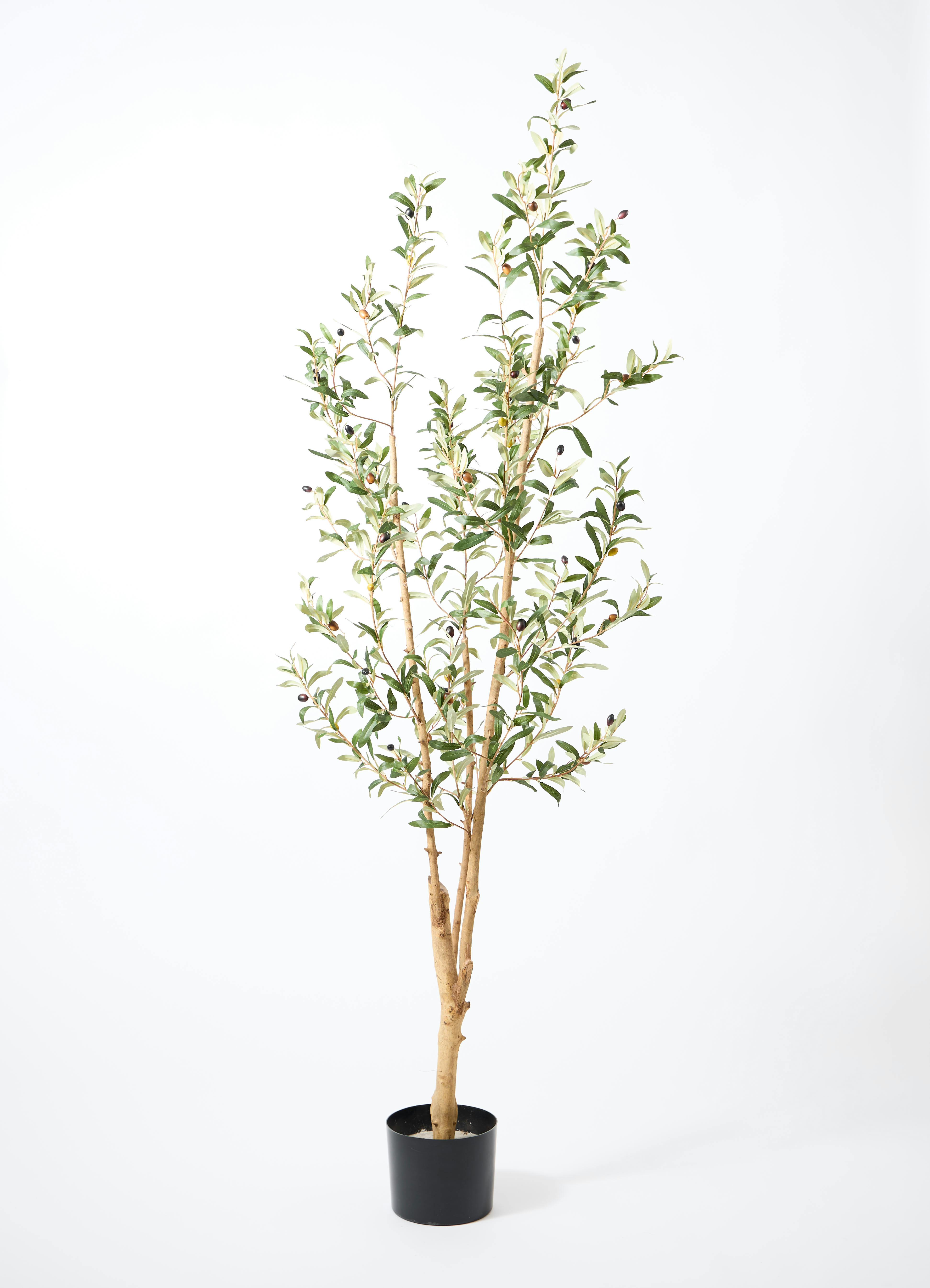 観葉植物 【フェイクグリーン】 オリーブ 実付き 原木 180cm ウッド 