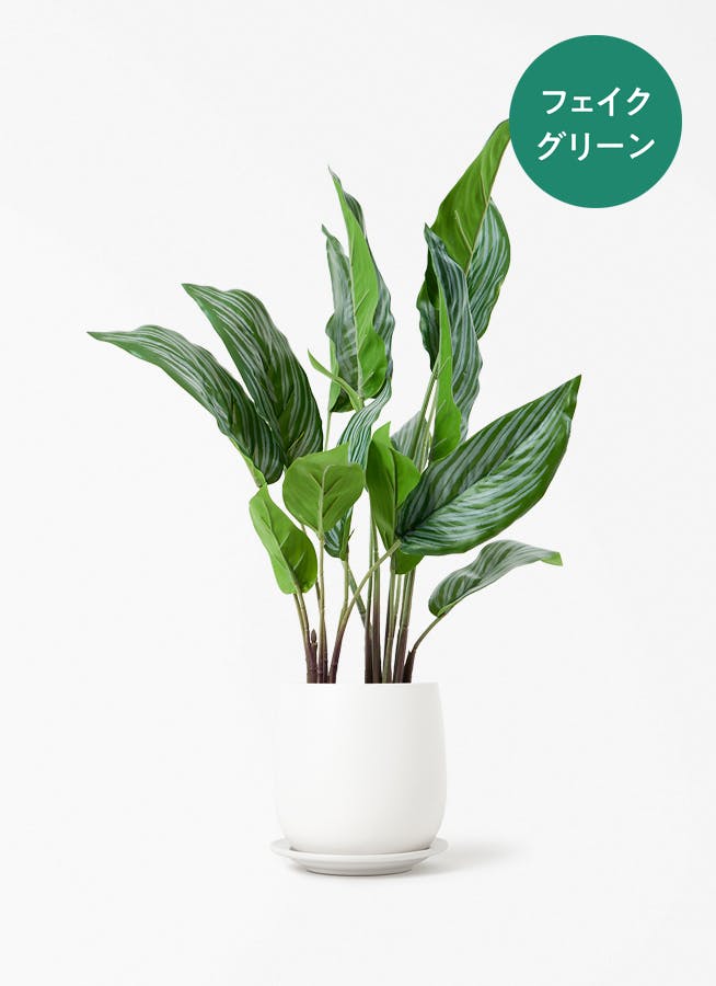 カラテア　観葉植物　フェイクグリーン　インテリア 観葉植物【フェイクグリーン】カラテア 30cm オスト ボール マット