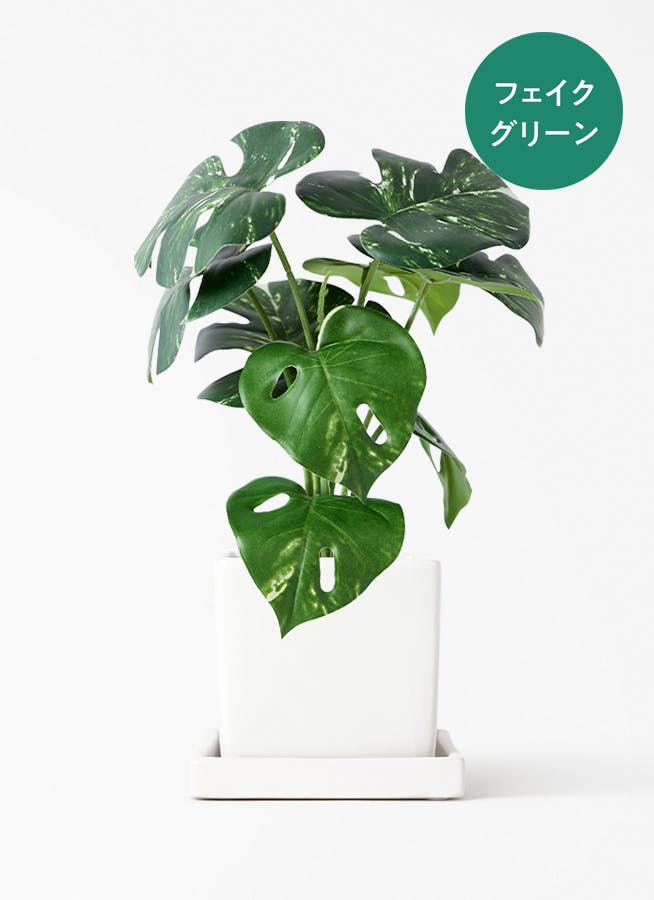 フェイクグリーン 30cm～ | 通販専門店 HitoHana（ひとはな）