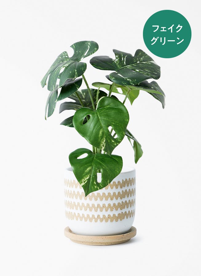 フェイクグリーン 30cm～ | 通販専門店 HitoHana（ひとはな）