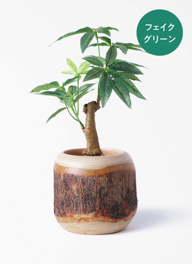 フェイクグリーン 30cm～ | 通販専門店 HitoHana（ひとはな）