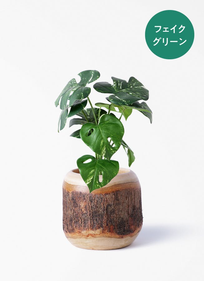 フェイクグリーン 30cm～ | 通販専門店 HitoHana（ひとはな）