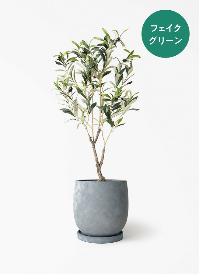 フェイクグリーン 80cm～ | 通販専門店 HitoHana（ひとはな）