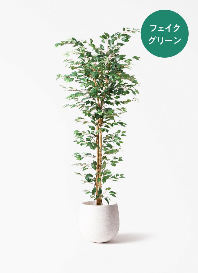 観葉植物 大型フェイクグリーン　2つセット　引取限定 フェイクグリーン 大型（180cm～） | 通販専門店 HitoHana（ひとはな）