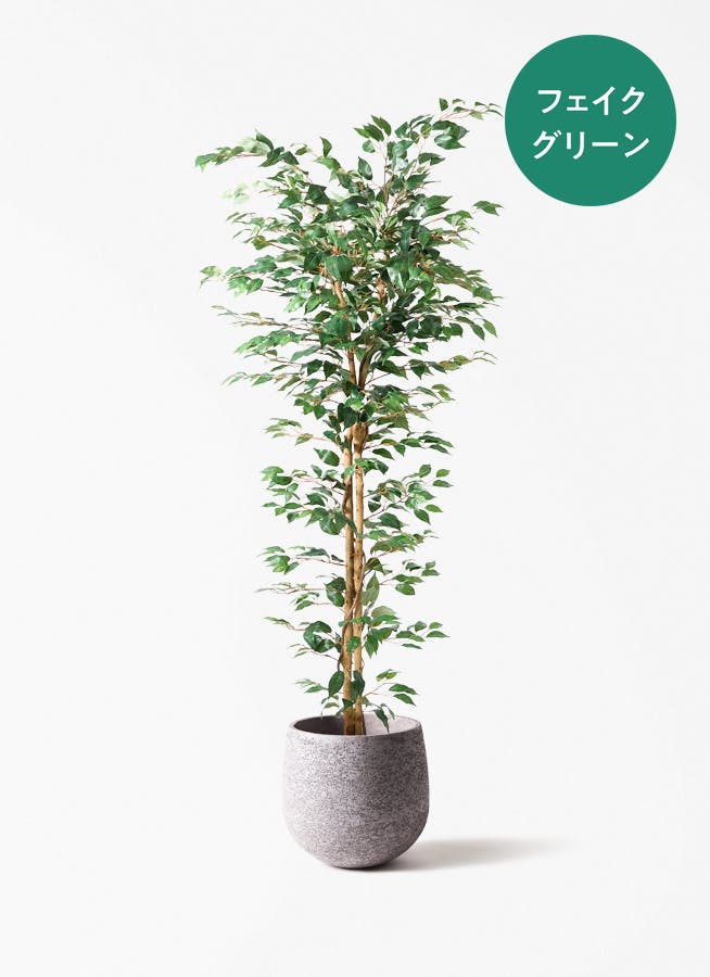 フェイクグリーン 大型 フェイクグリーン 大型（180cm～） | 通販専門店 HitoHana（ひとはな）