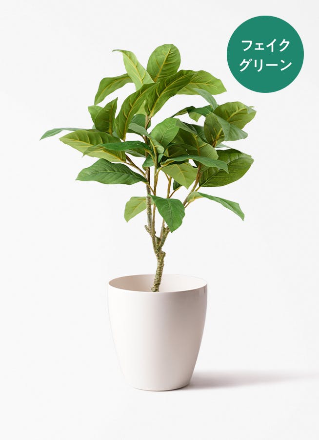 パキラ　フェイクグリーン　観葉植物 Artificial - Green フェイクグリーン パキラ – KANADEMONO