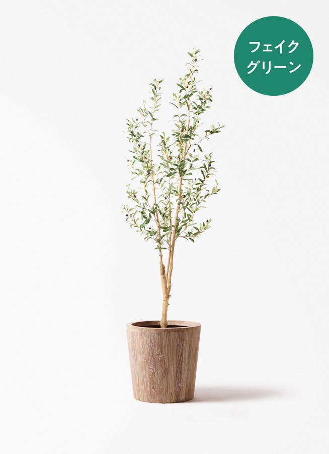 観葉植物【フェイクグリーン】ドウダンツツジ 190cm ウッドプランター