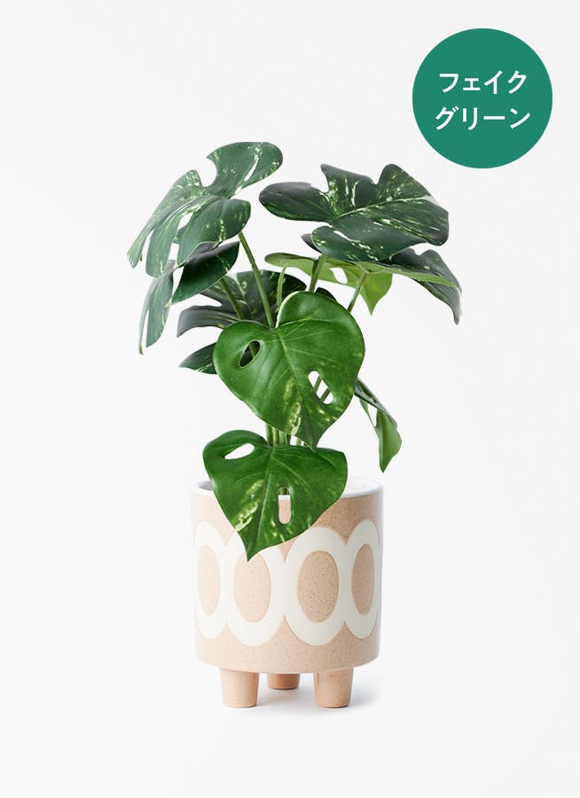 フェイクグリーン 30cm～ | 通販専門店 HitoHana（ひとはな）