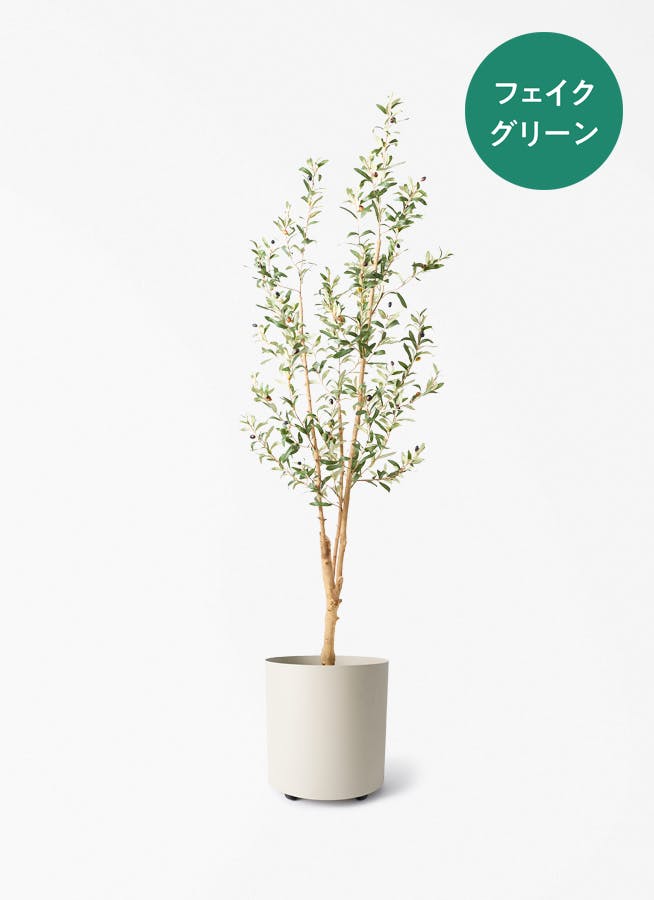 フェイクグリーン 大型（180cm～） | 通販専門店 HitoHana（ひとはな）