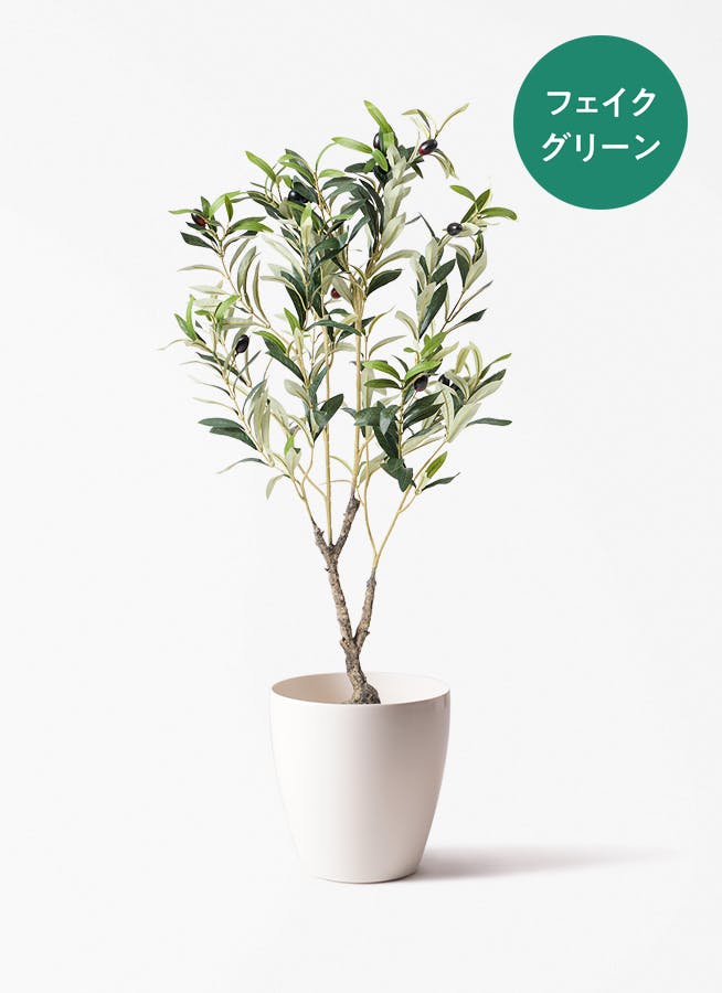 観葉植物【フェイクグリーン】フィカス ベンガレンシス 60cm ラスター