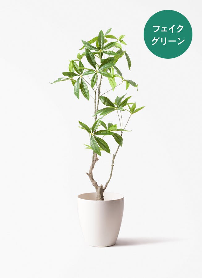 フェイクグリーン 80cm～ | 通販専門店 HitoHana（ひとはな）
