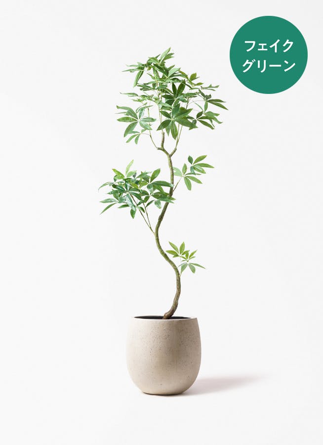 フェイクグリーン 大型（180cm～） | 通販専門店 HitoHana（ひとはな）