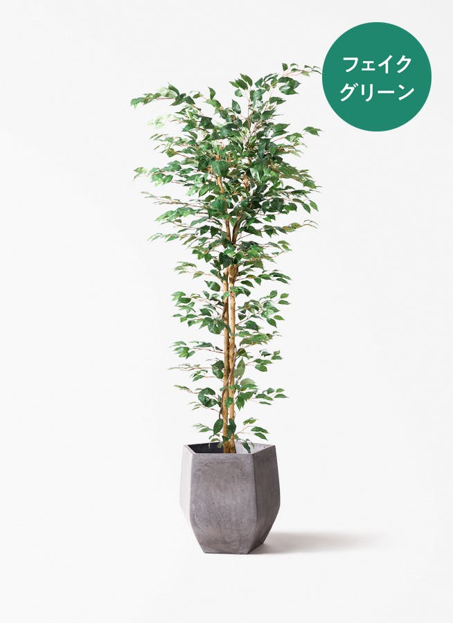 フェイクグリーン 大型（180cm～） | 通販専門店 HitoHana（ひとはな）