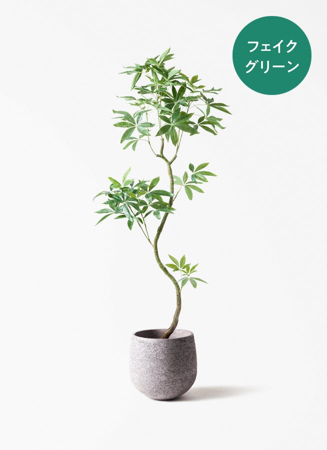 観葉植物【フェイクグリーン】パキラ 180cm Eco Stone (エコストーン