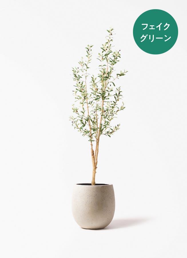 ★最終値下げ•9/30中にて掲載終了します★(定価3万円)観葉植物　植木　グリーン　おしゃれ fake-olive-48_001.jpg