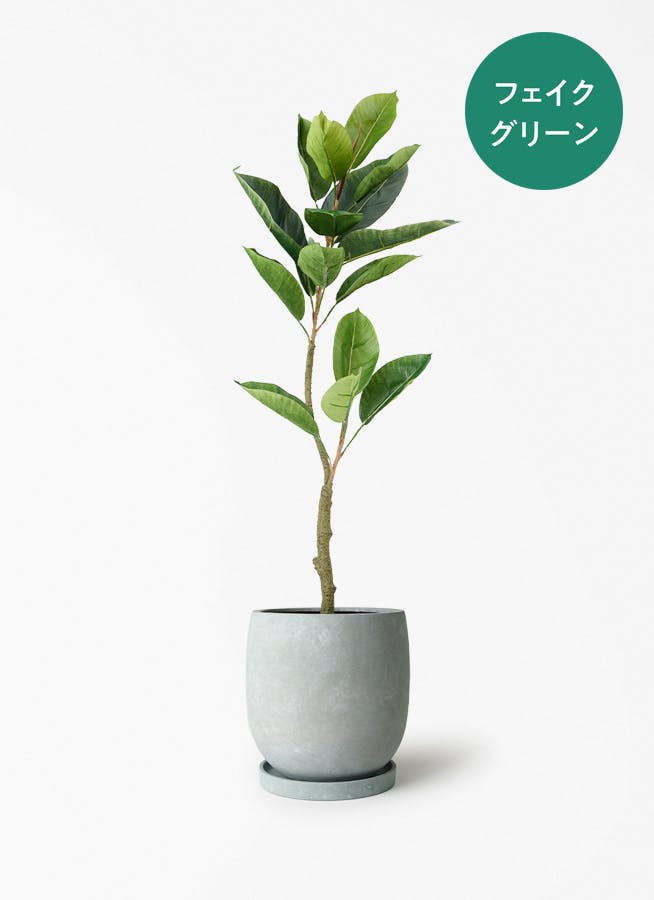 フェイクグリーン 80cm～ | 通販専門店 HitoHana（ひとはな）