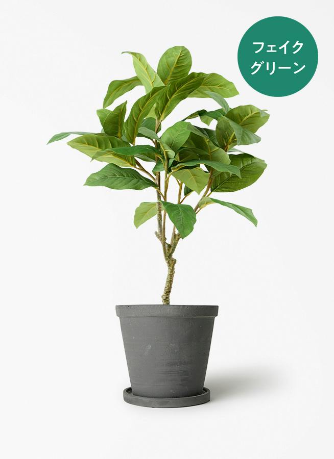 フェイクグリーン フィカス ベンガレンシス | 通販専門店 HitoHana