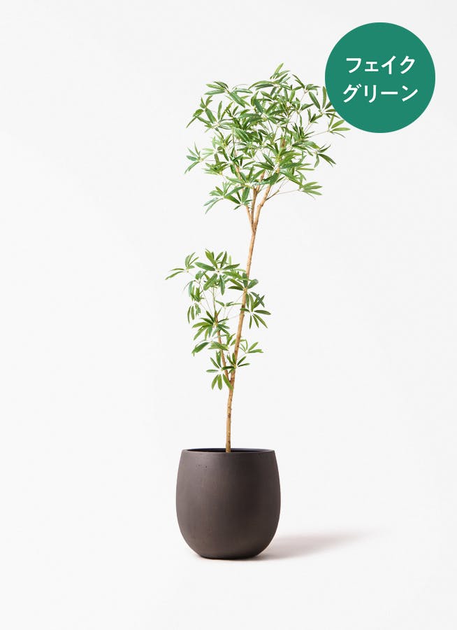 フェイクグリーン 大型（180cm～） | 通販専門店 HitoHana（ひとはな）