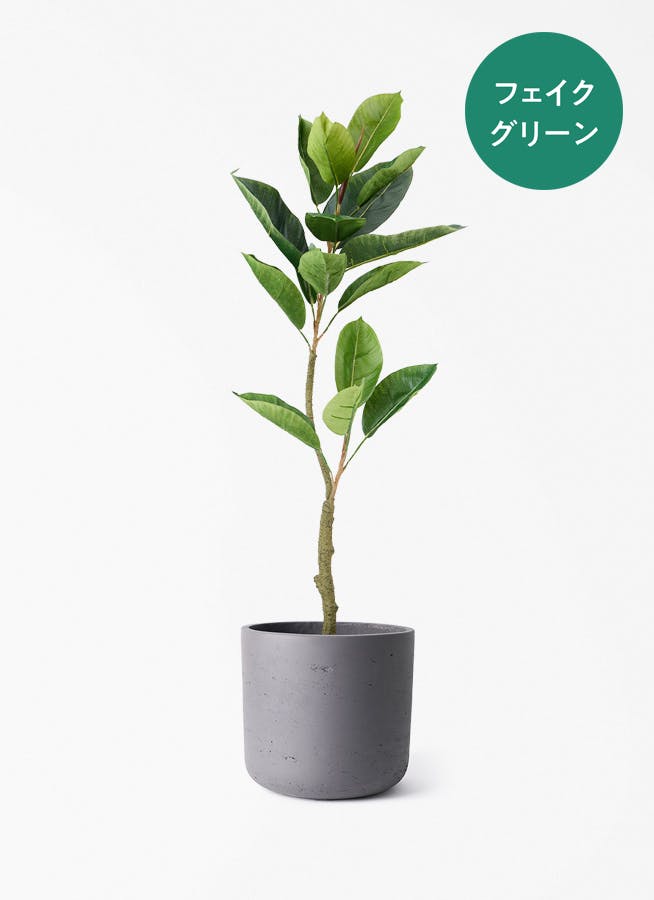 フェイクグリーン 80cm～ | 通販専門店 HitoHana（ひとはな）