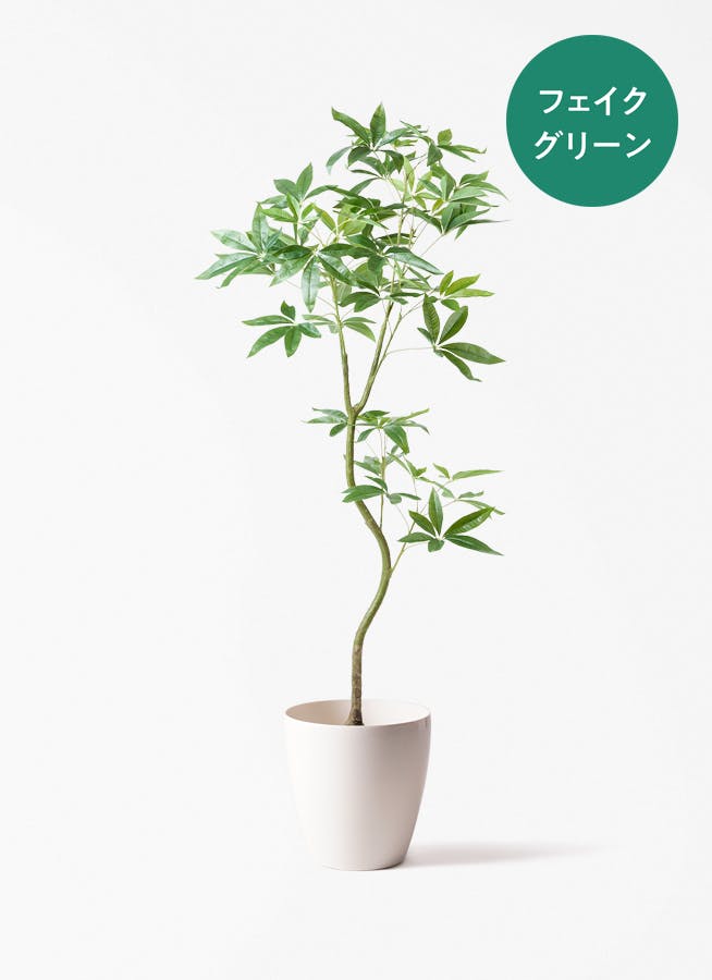 フェイクグリーン パキラ | 通販専門店 HitoHana（ひとはな）