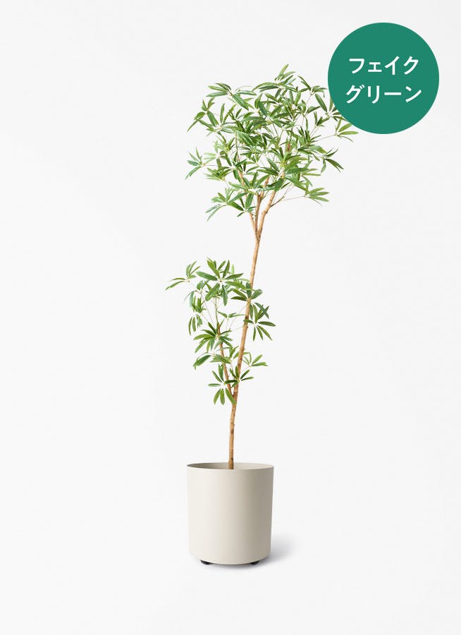 フェイクグリーン 大型（180cm～） | 通販専門店 HitoHana（ひとはな）