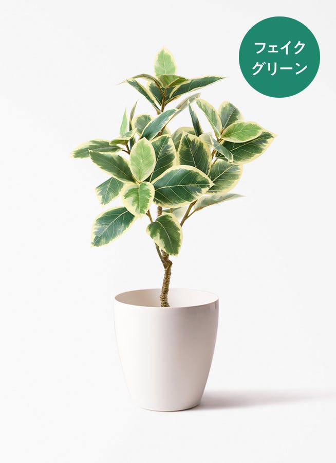 観葉植物【フェイクグリーン】パキラ 90cm ラスターポット 付き | 観葉
