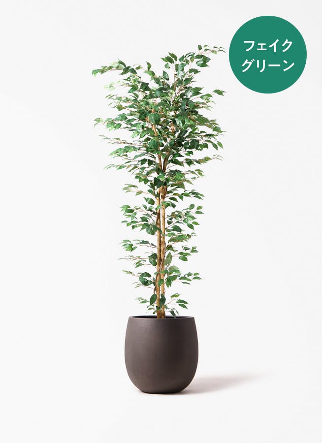 フェイクグリーン 大型（180cm～） | 通販専門店 HitoHana（ひとはな）