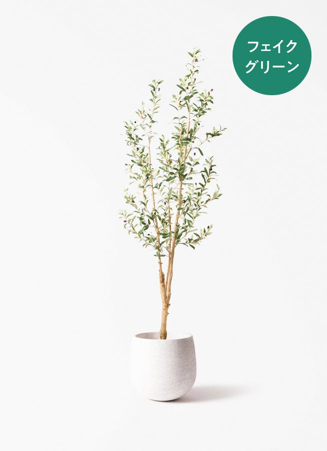 フェイクグリーン 大型（180cm～） | 通販専門店 HitoHana（ひとはな）