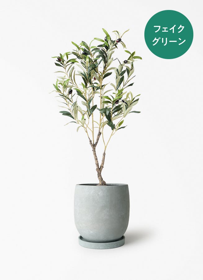 フェイクグリーン 80cm~ | 通販専門店 HitoHana(ひとはな) フェイクグリーン 80cm~ | 通販専門店 HitoHana(ひとはな)