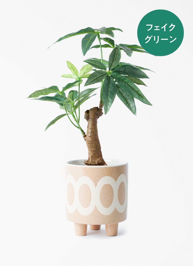 フェイクグリーン 30cm～ | 通販専門店 HitoHana（ひとはな）