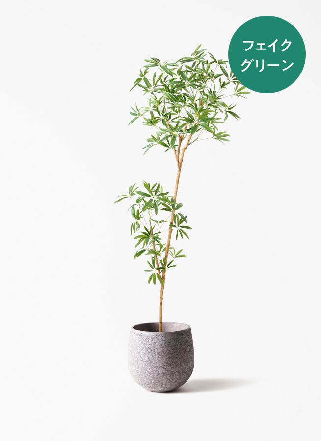 フェイクグリーン 大型(180cm~) | 通販専門店 HitoHana(ひとはな) フェイクグリーン 大型(180cm~) | 通販専門店 HitoHana(ひとはな)