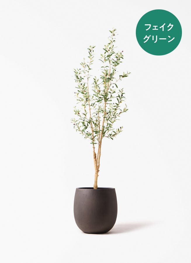 fake-olive-47_001.jpg fake-olive-47_001.jpg