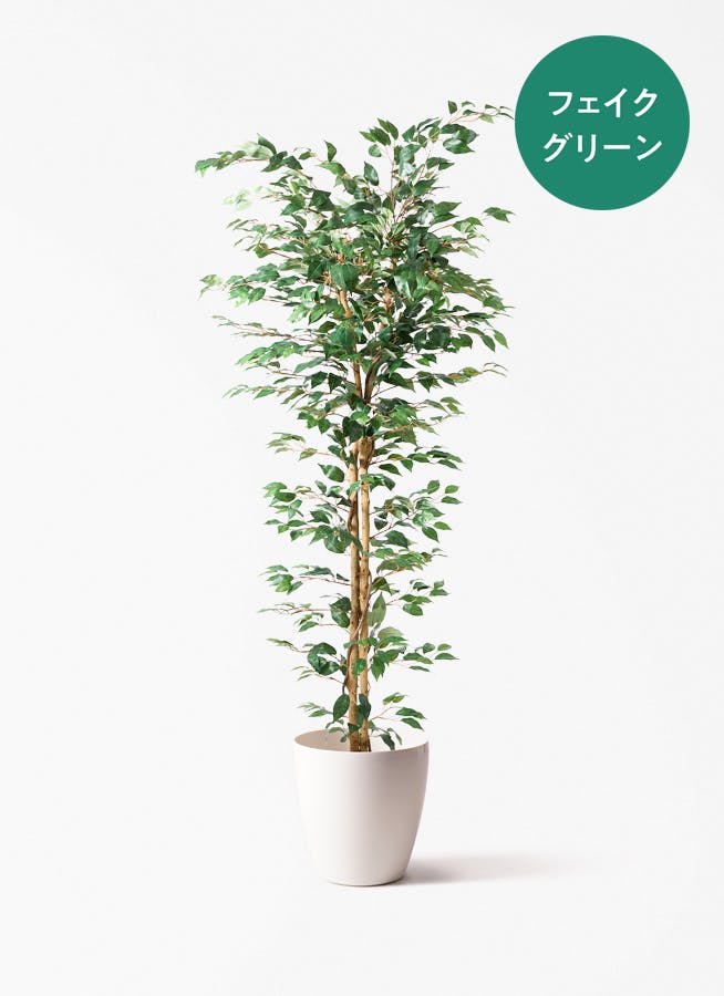 フェイクグリーン 大型（180cm～） | 通販専門店 HitoHana（ひとはな）