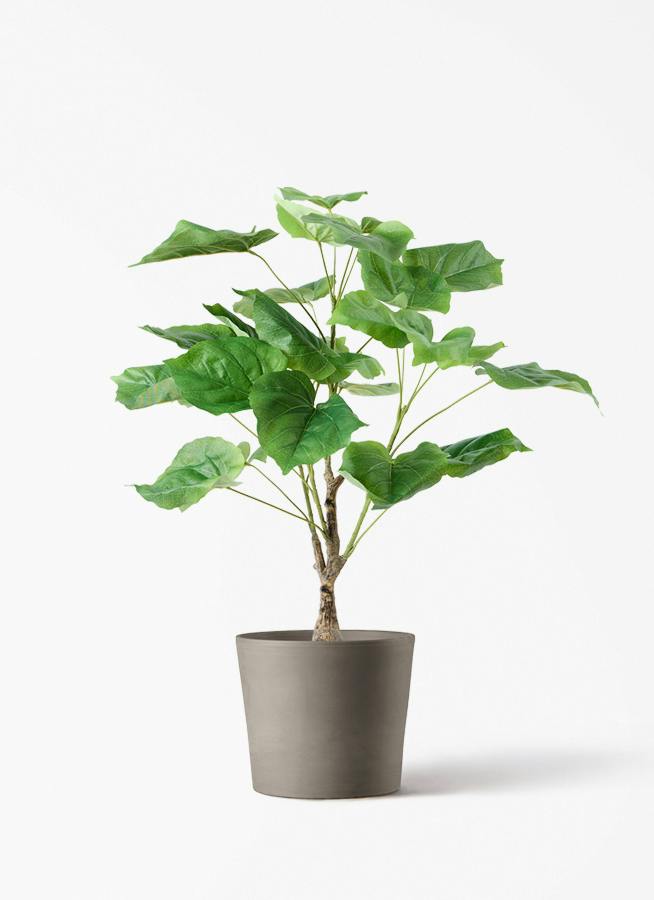 観葉植物【フェイクグリーン】フィカス ウンベラータ 60cm