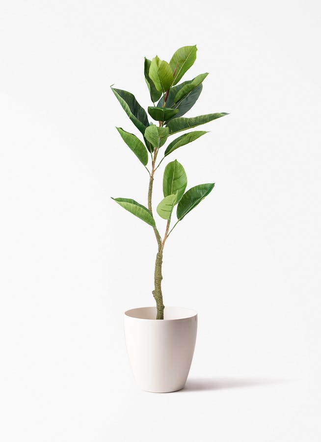 観葉植物【フェイクグリーン】フィカス（ゴムの木） 90cm ラスター