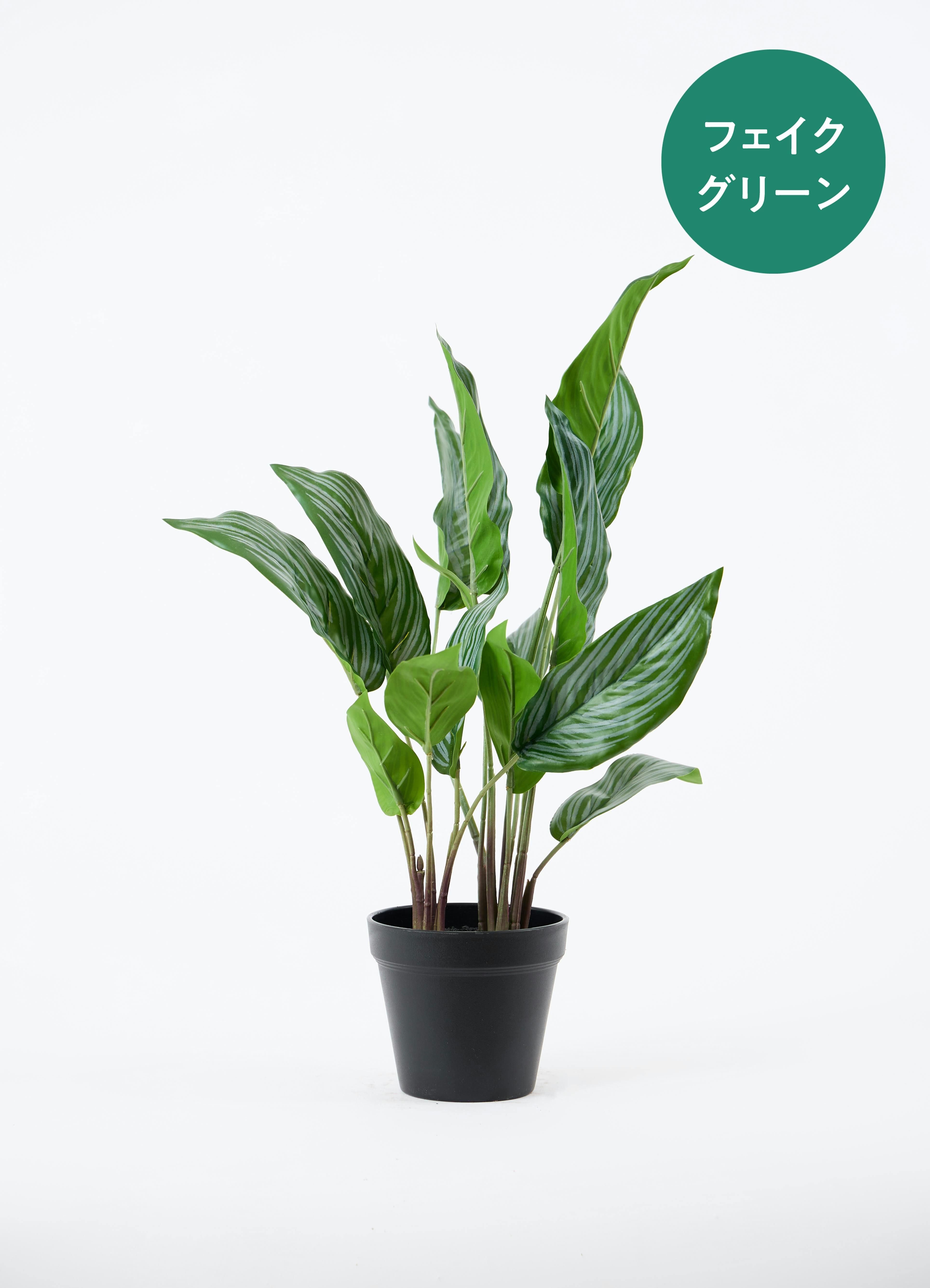 カラテア　観葉植物　フェイクグリーン 観葉植物【フェイクグリーン】カラテア 30cm オスト ボール マット