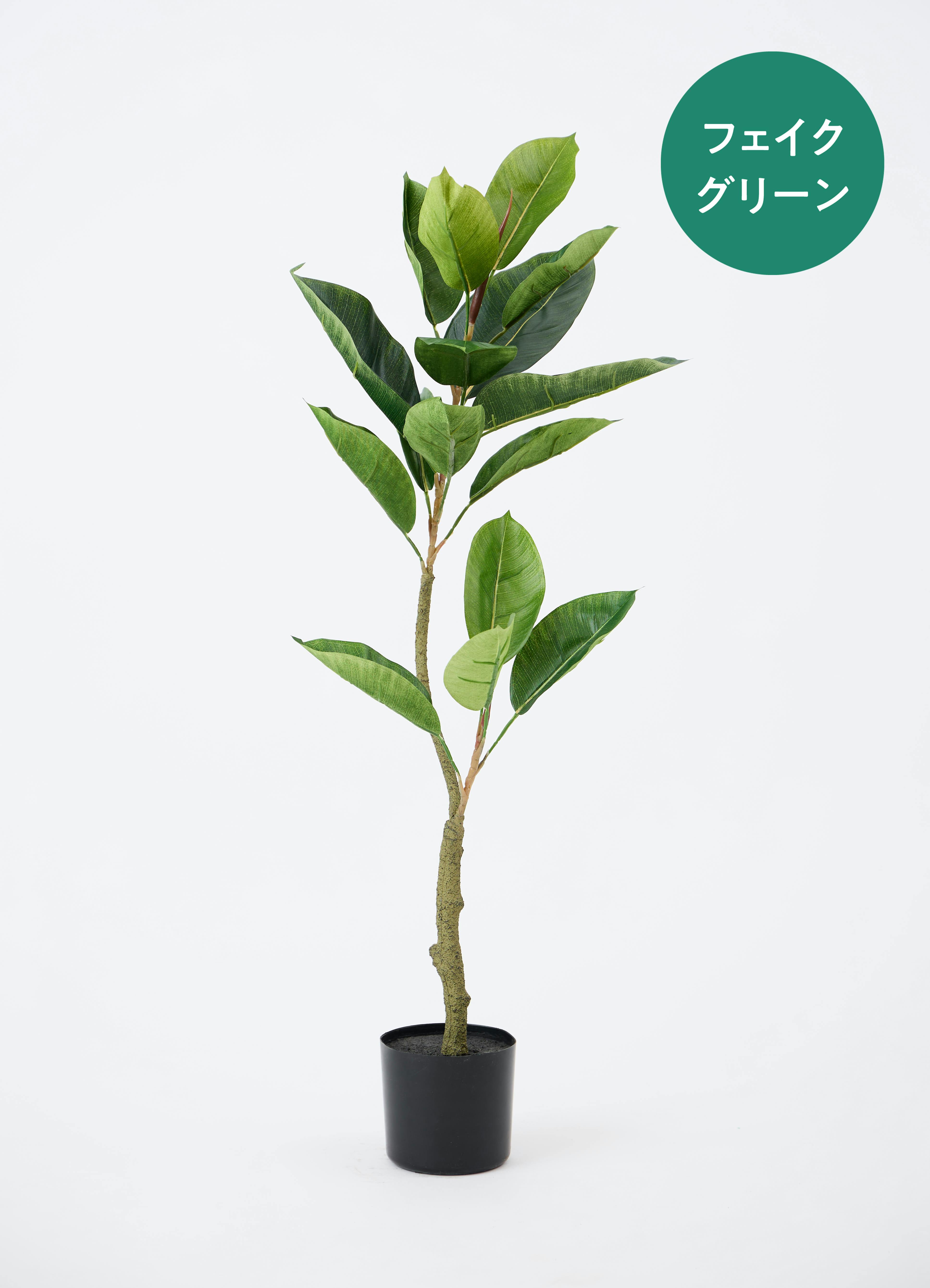 フェイクグリーン フィカス（ゴムの木） | 通販専門店 HitoHana（ひと
