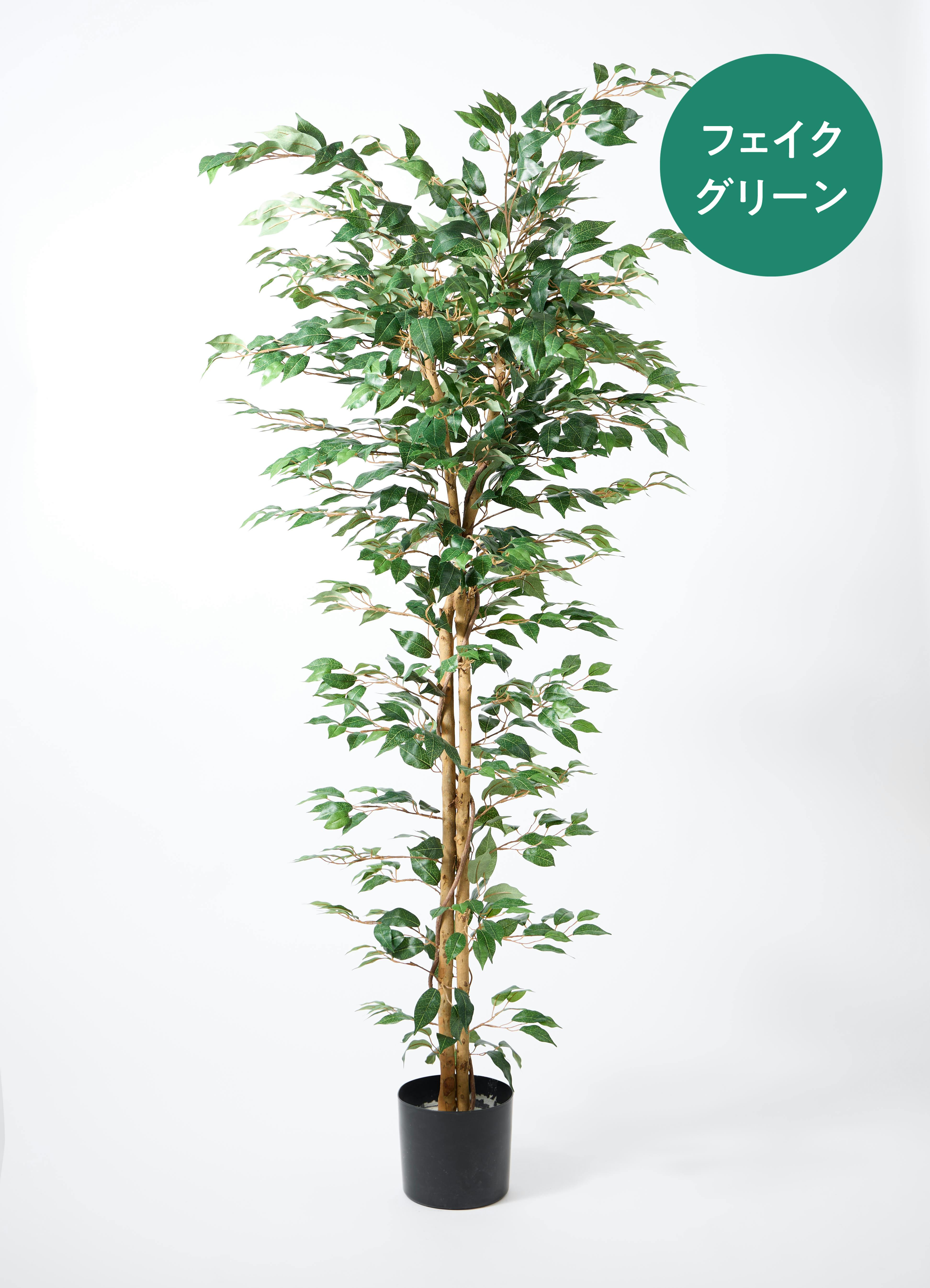 フェイクグリーン 大型（180cm～） | 通販専門店 HitoHana（ひとはな）