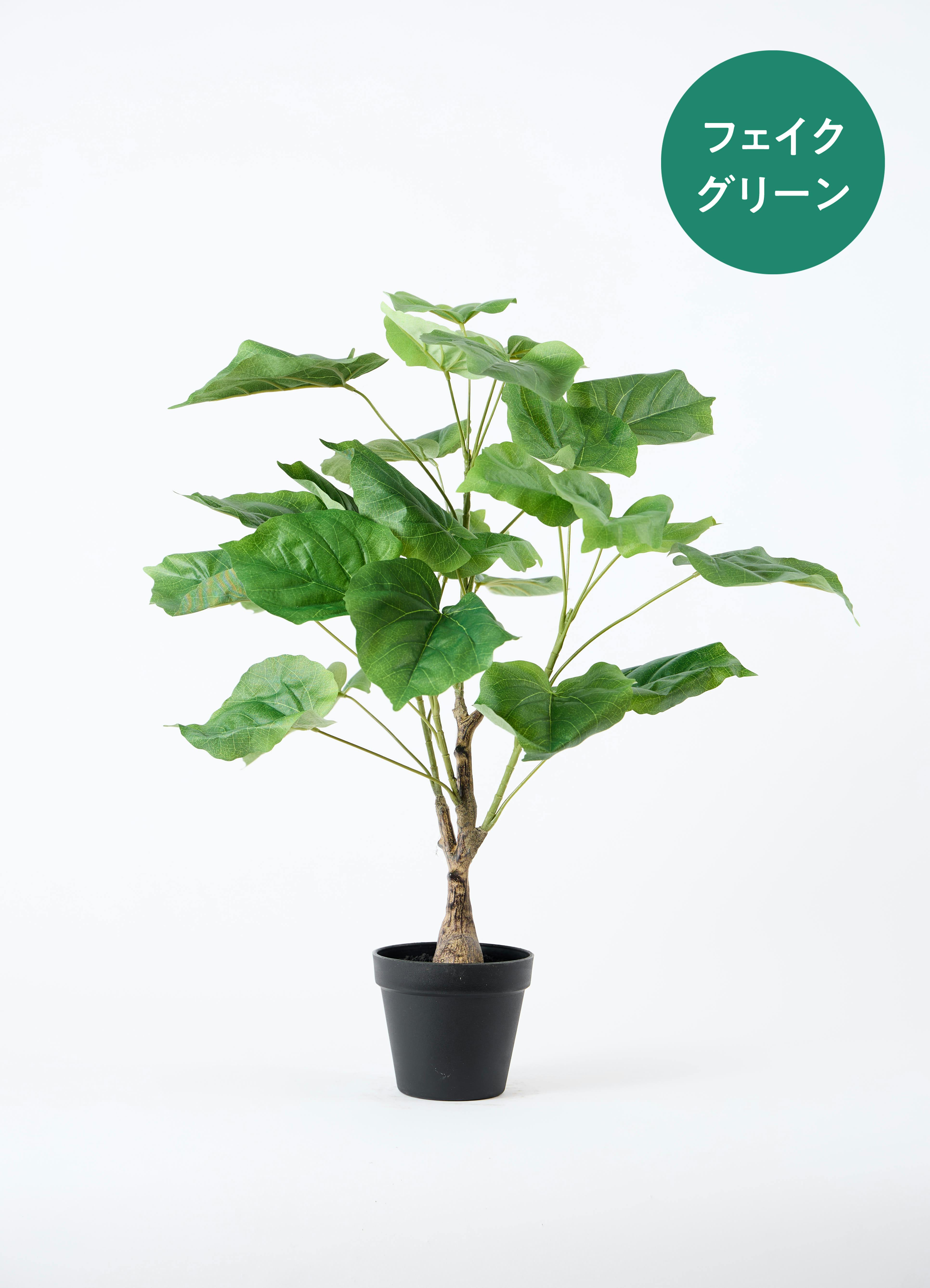 観葉植物【フェイクグリーン】フィカス ウンベラータ 60cm ベラ ピンク
