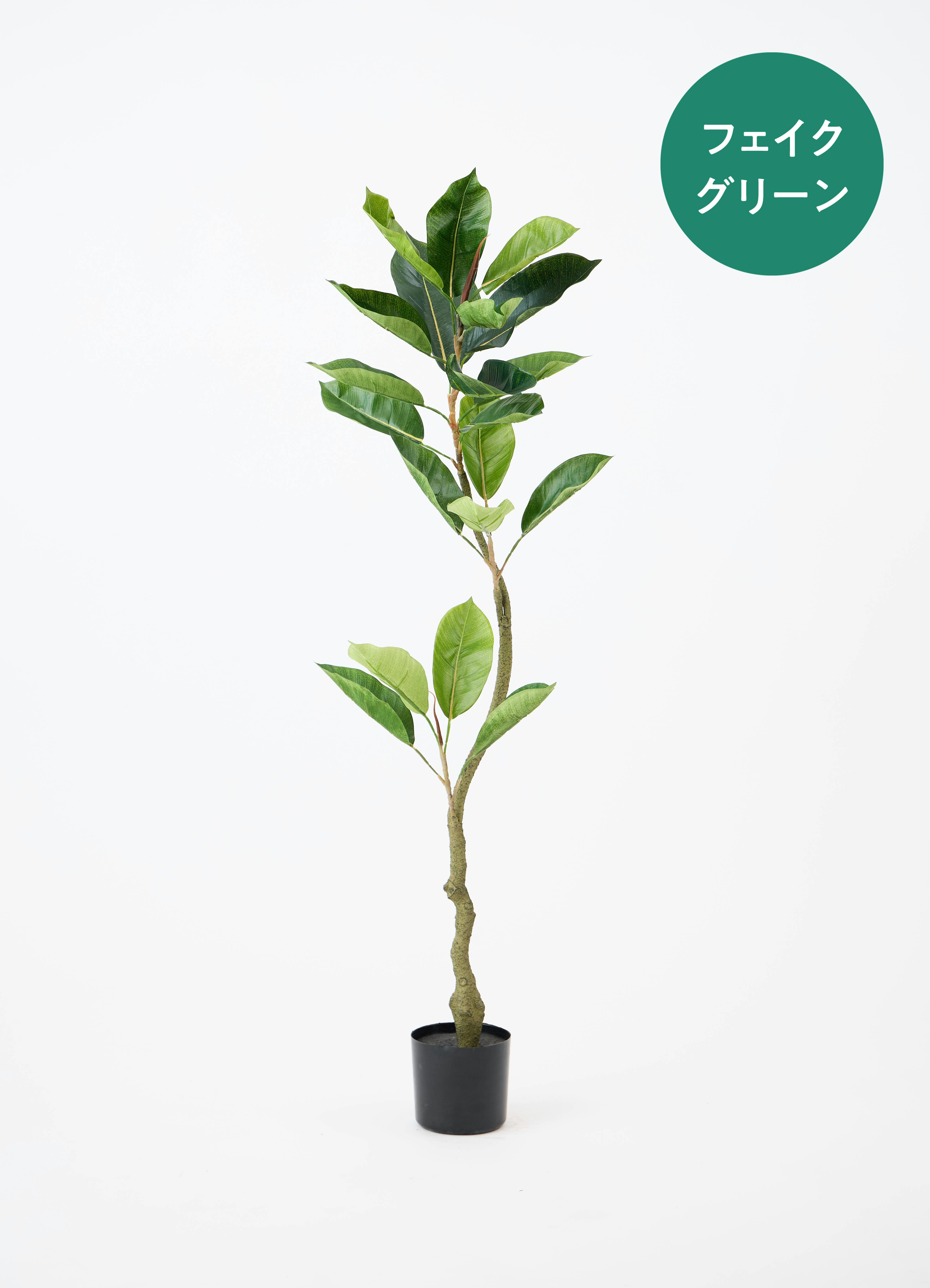フェイクグリーン フィカス（ゴムの木） | 通販専門店 HitoHana（ひと
