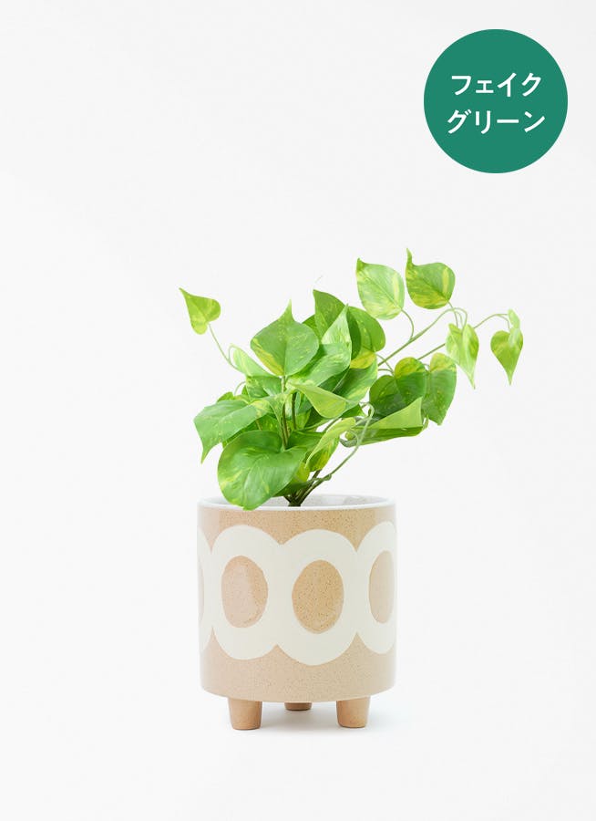 フェイクグリーン 30cm～ | 通販専門店 HitoHana（ひとはな）