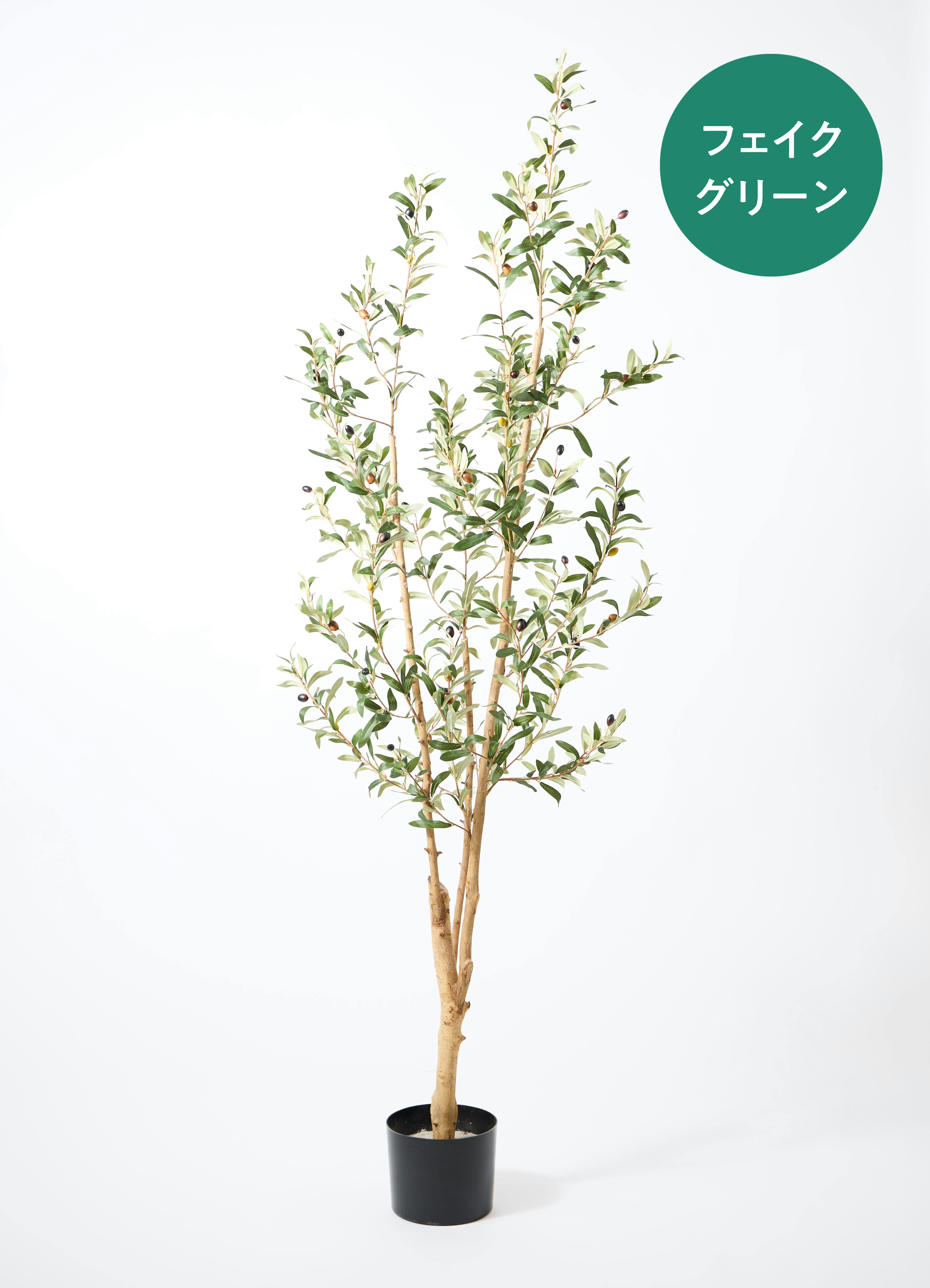 フェイクグリーン 大型（180cm～） | 通販専門店 HitoHana（ひとはな）