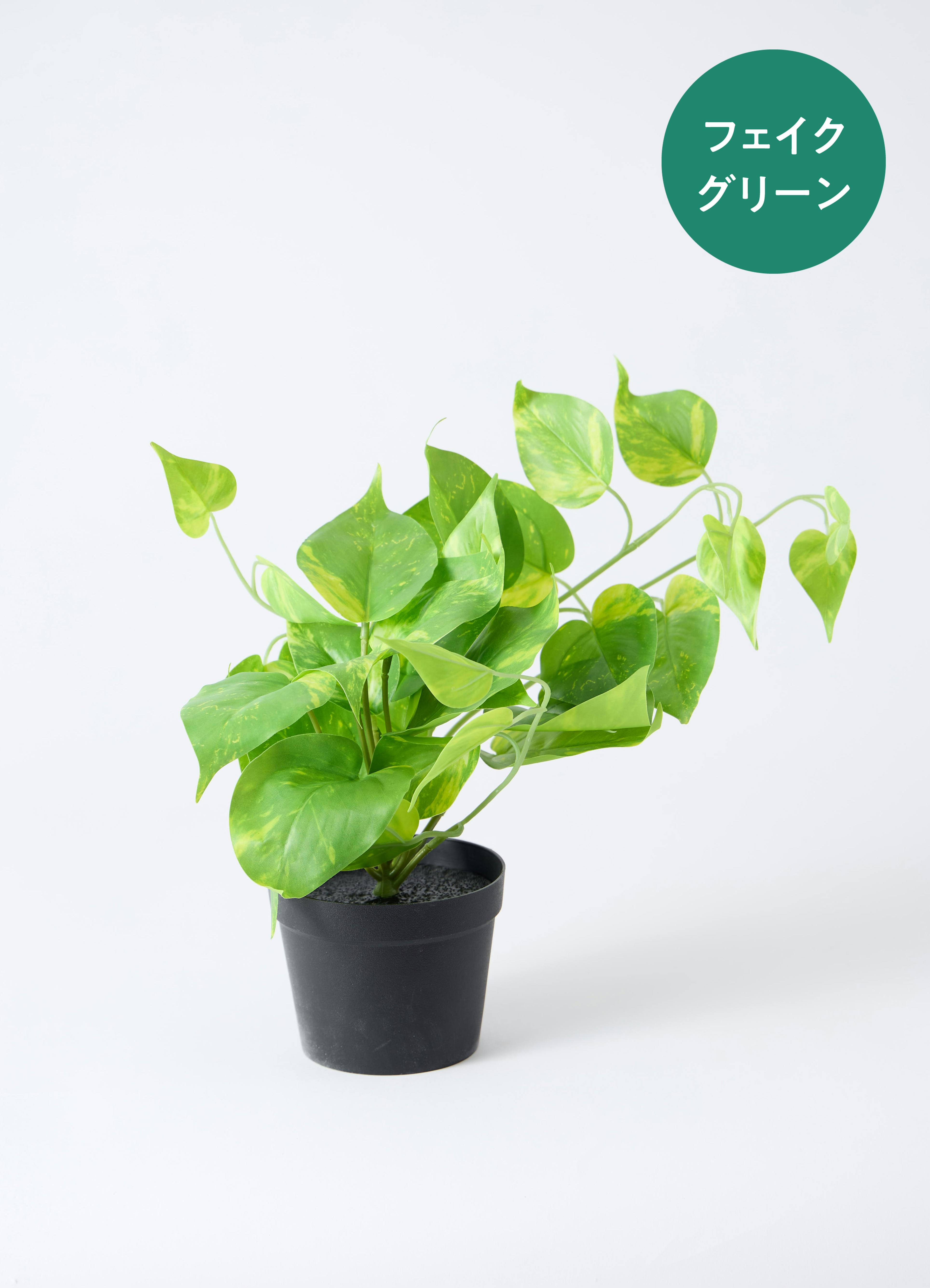 人工観葉植物 ステンレスポット付き Amazon｜フェイクグリーン 卓上 ミニ おしゃれ CT触媒 消臭 グリーン