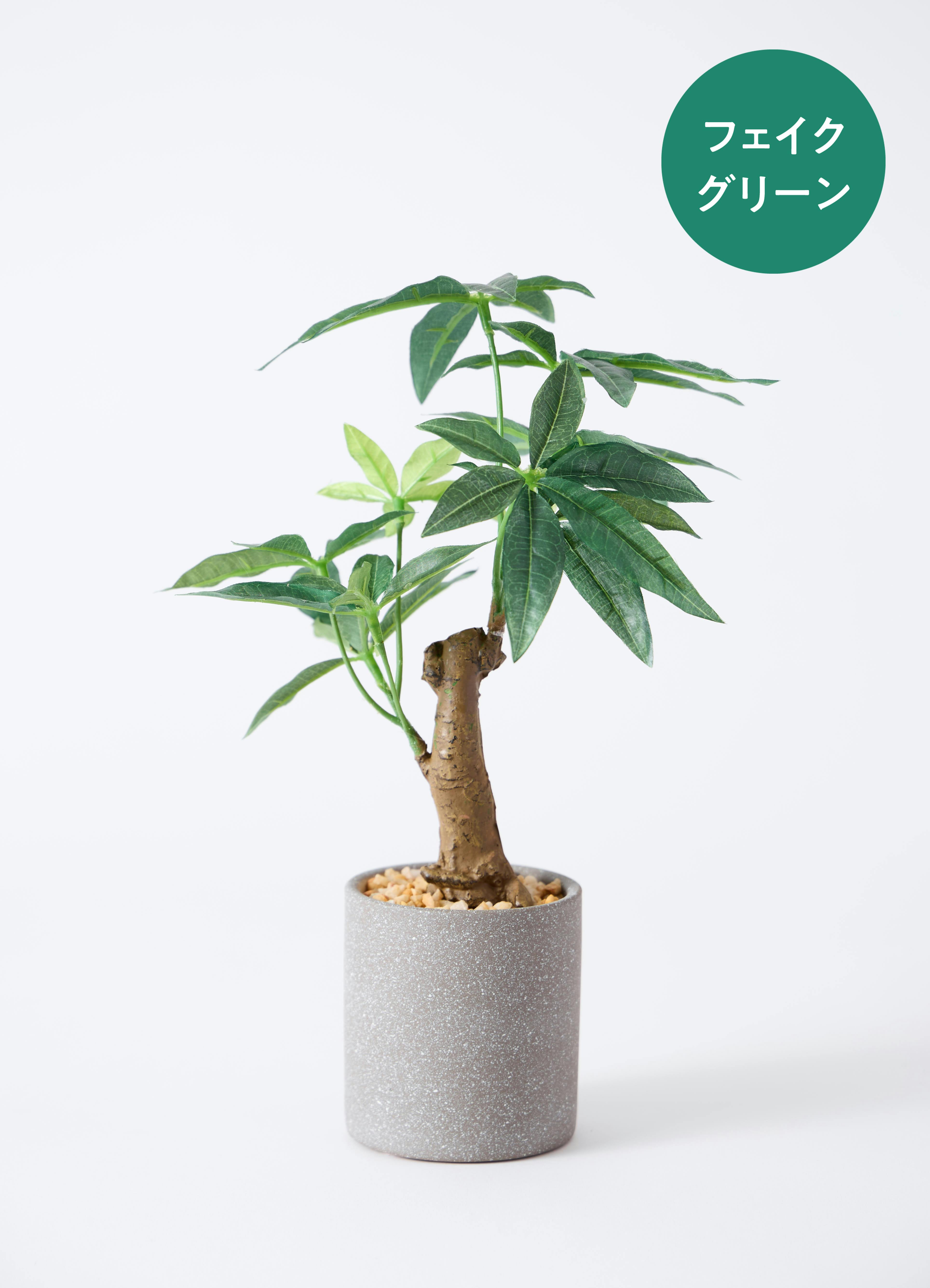 観葉植物【フェイクグリーン】パキラ 30cm インナ 11 G 付き | 観葉